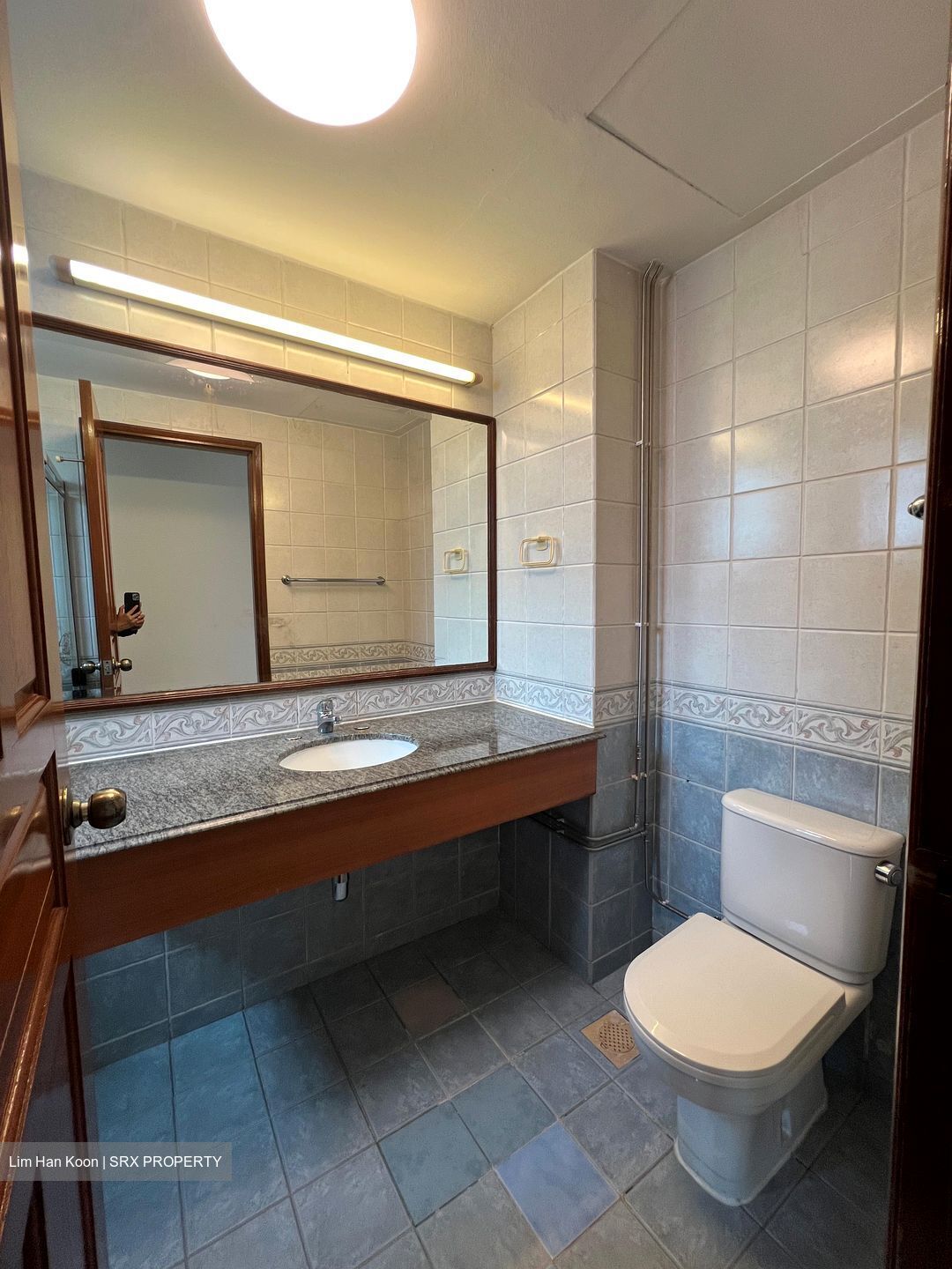 Gold Palm Mansion (D15), Apartment #567191651